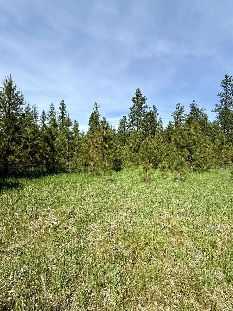 Nhn Old Cottonwood Lane Trout Creek MT 59874