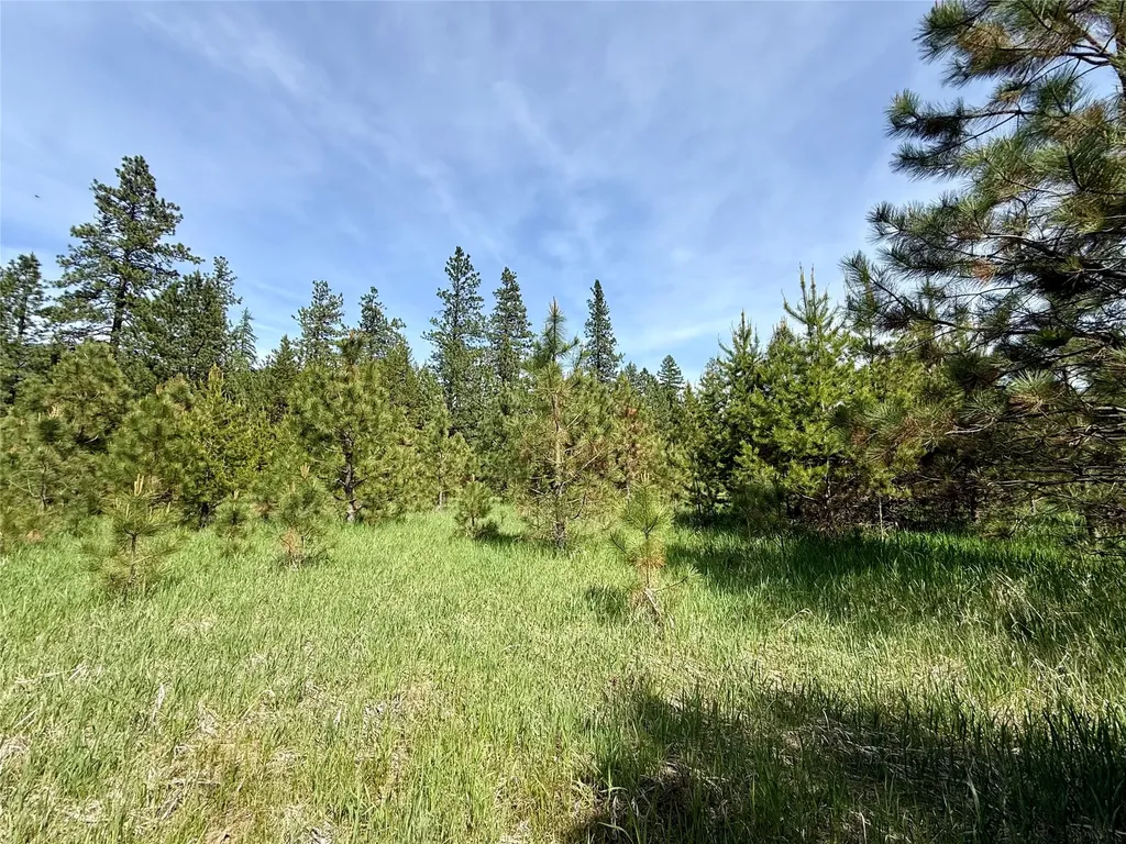 Nhn Old Cottonwood Lane Trout Creek MT 59874