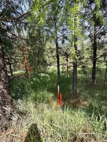 Nhn Old Cottonwood Lane Trout Creek MT 59874