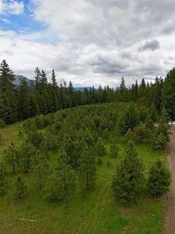 Nhn Old Cottonwood Lane Trout Creek MT 59874