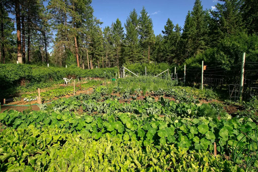 877 Koocanusa Estates Drive Eureka MT 59917