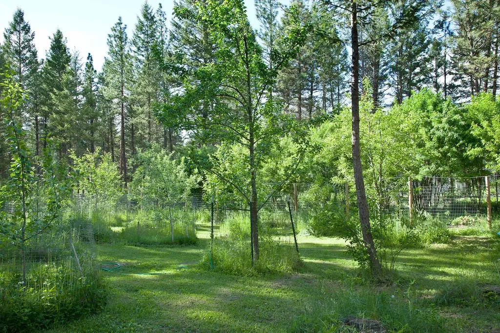 877 Koocanusa Estates Drive Eureka MT 59917