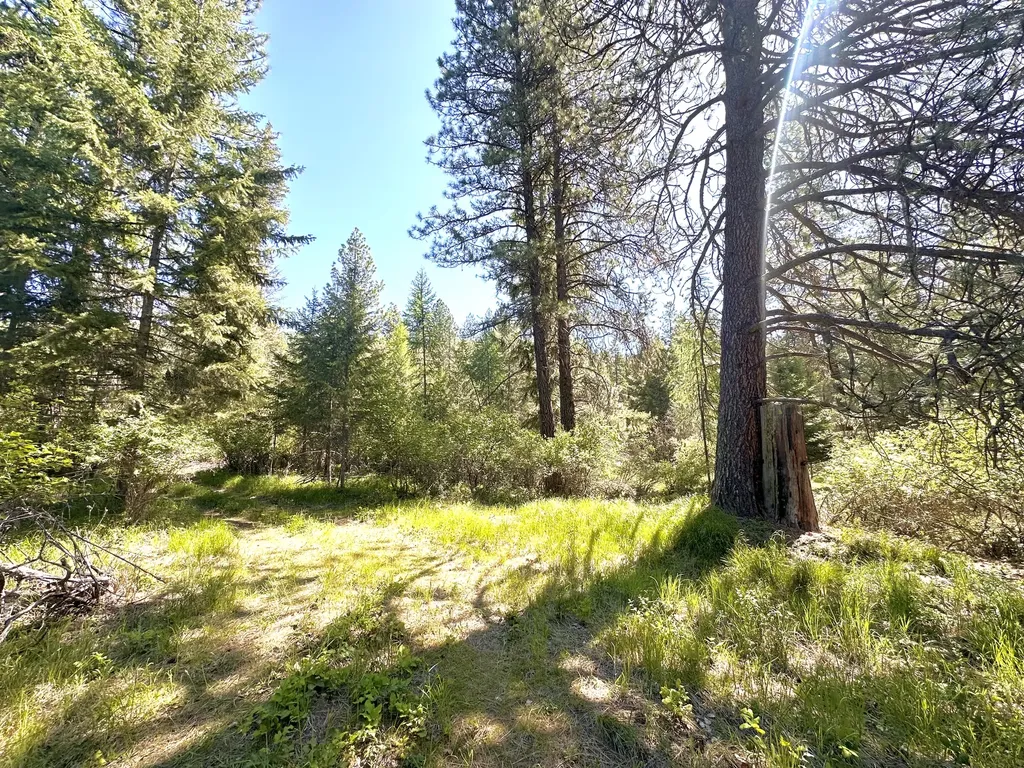 Nhn Humble Lane Thompson Falls MT 59873