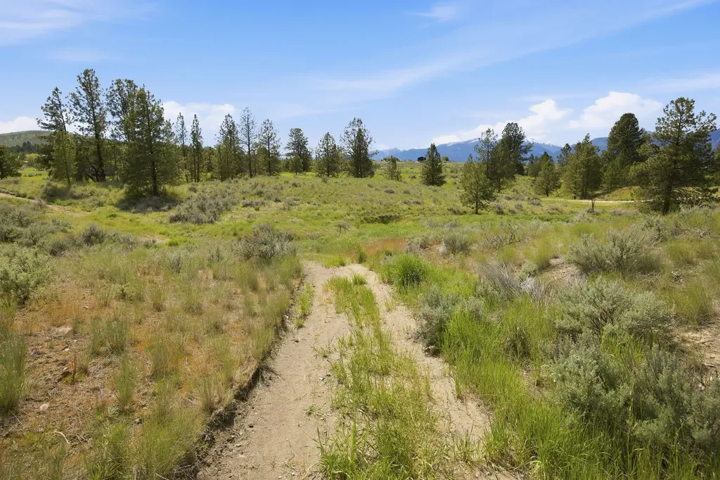 4033 Sunnyside Cemetery Road Stevensville MT 59870