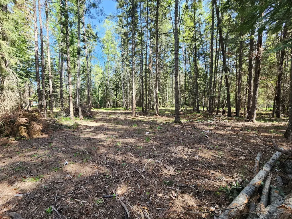 1365 Mt Highway 209 Bigfork MT 59911