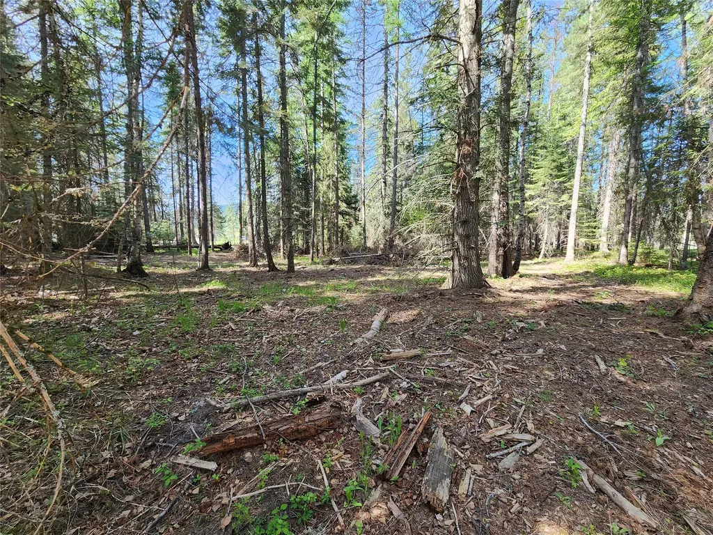 1365 Mt Highway 209 Bigfork MT 59911