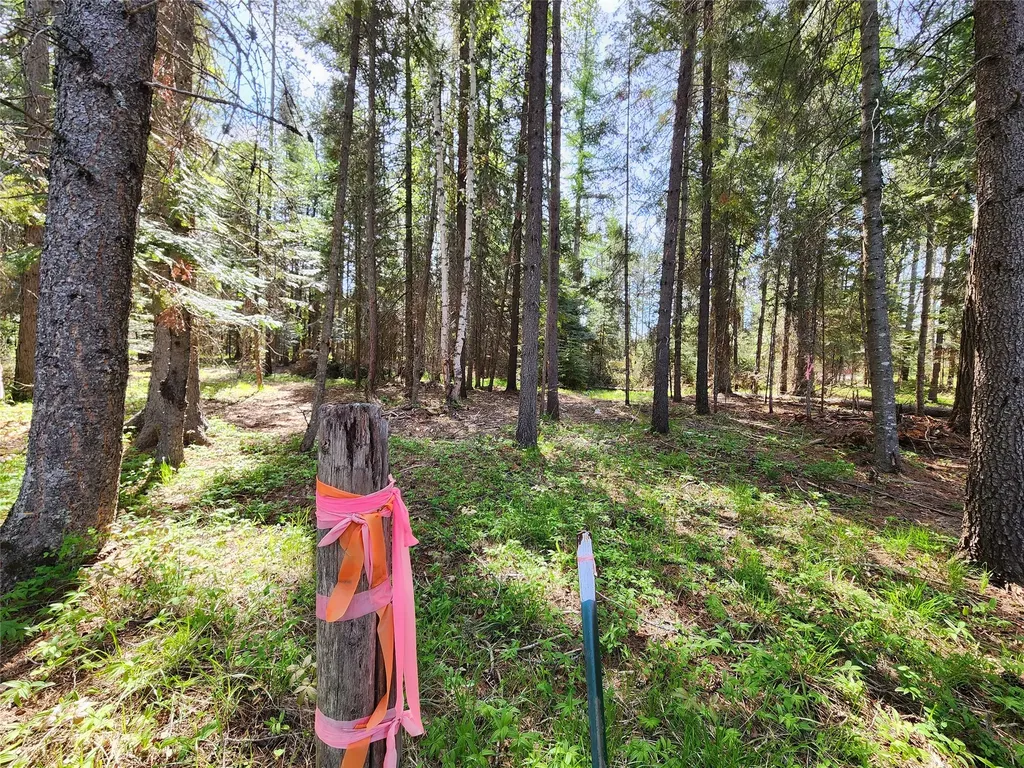 1365 Mt Highway 209 Bigfork MT 59911