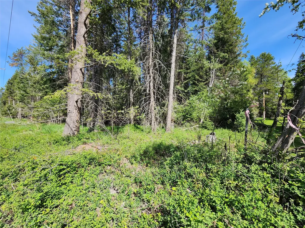 1365 Mt Highway 209 Bigfork MT 59911