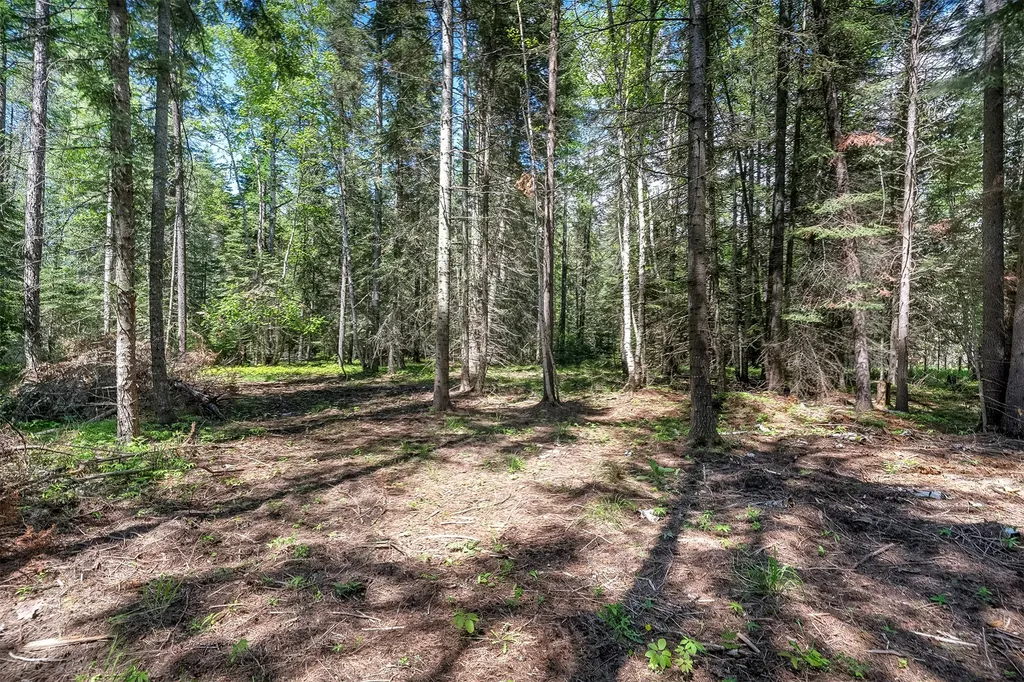 1365 Mt Highway 209 Bigfork MT 59911