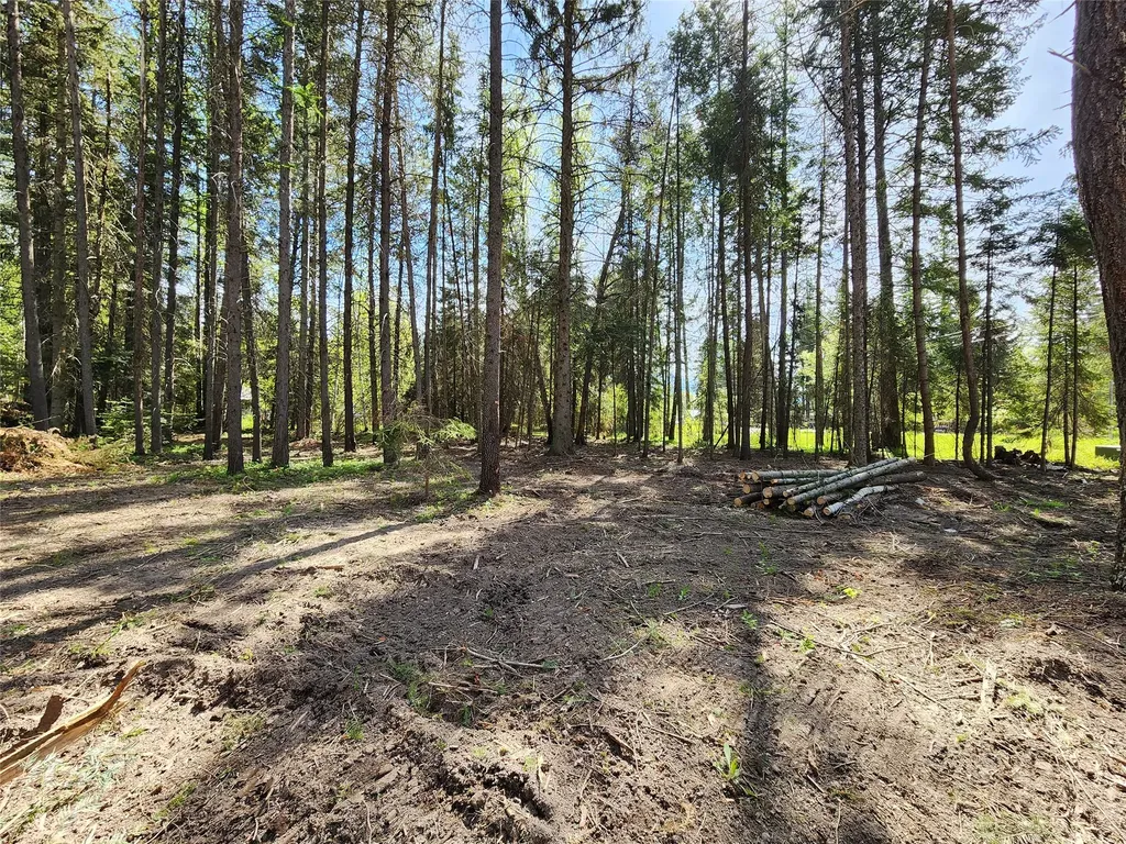 1365 Mt Highway 209 Bigfork MT 59911