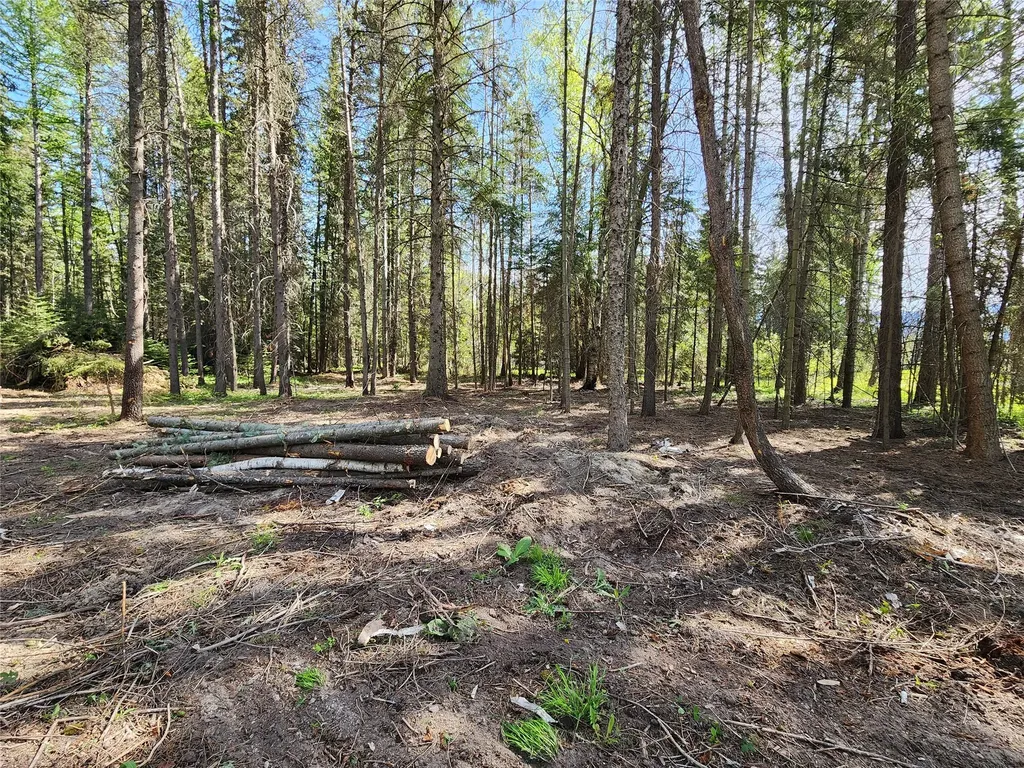 1365 Mt Highway 209 Bigfork MT 59911