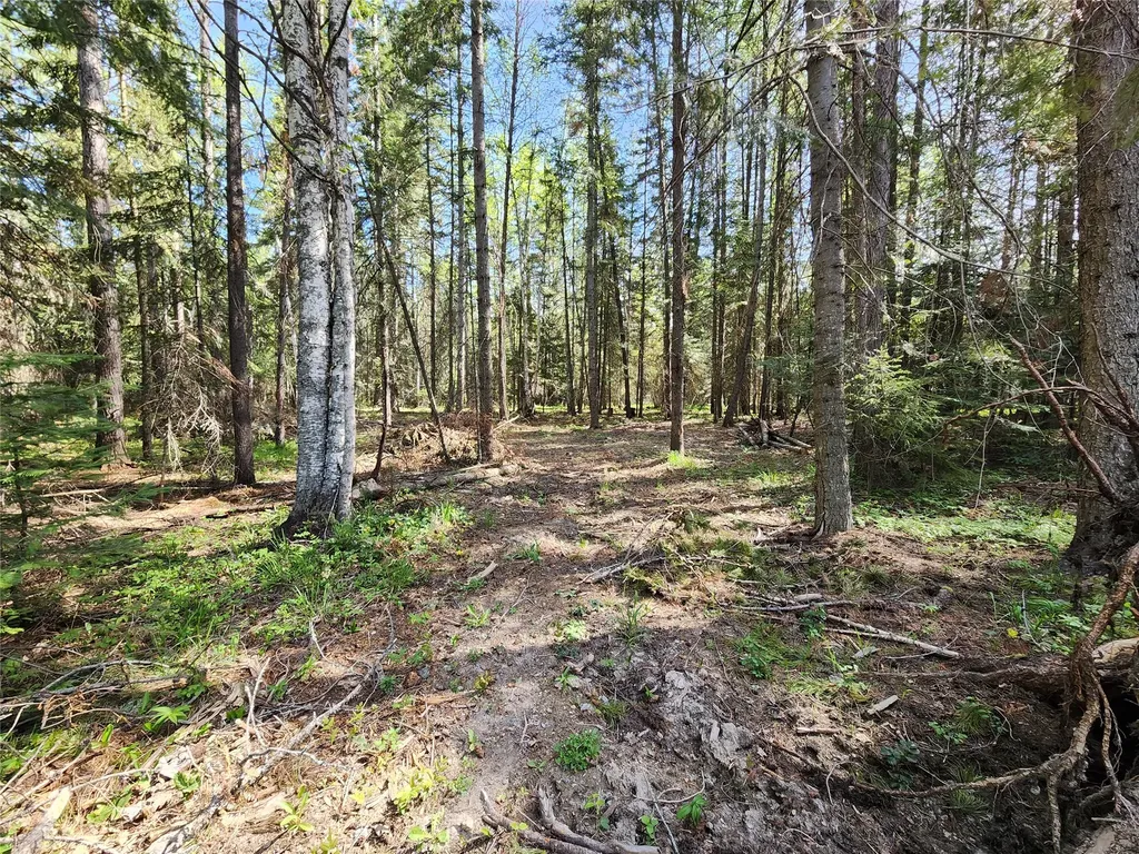 1365 Mt Highway 209 Bigfork MT 59911