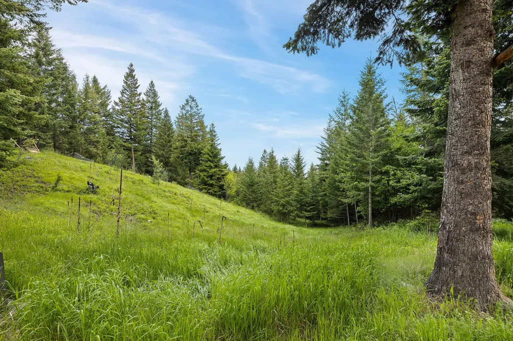 1424 Bierney Creek Road Lakeside MT 59922