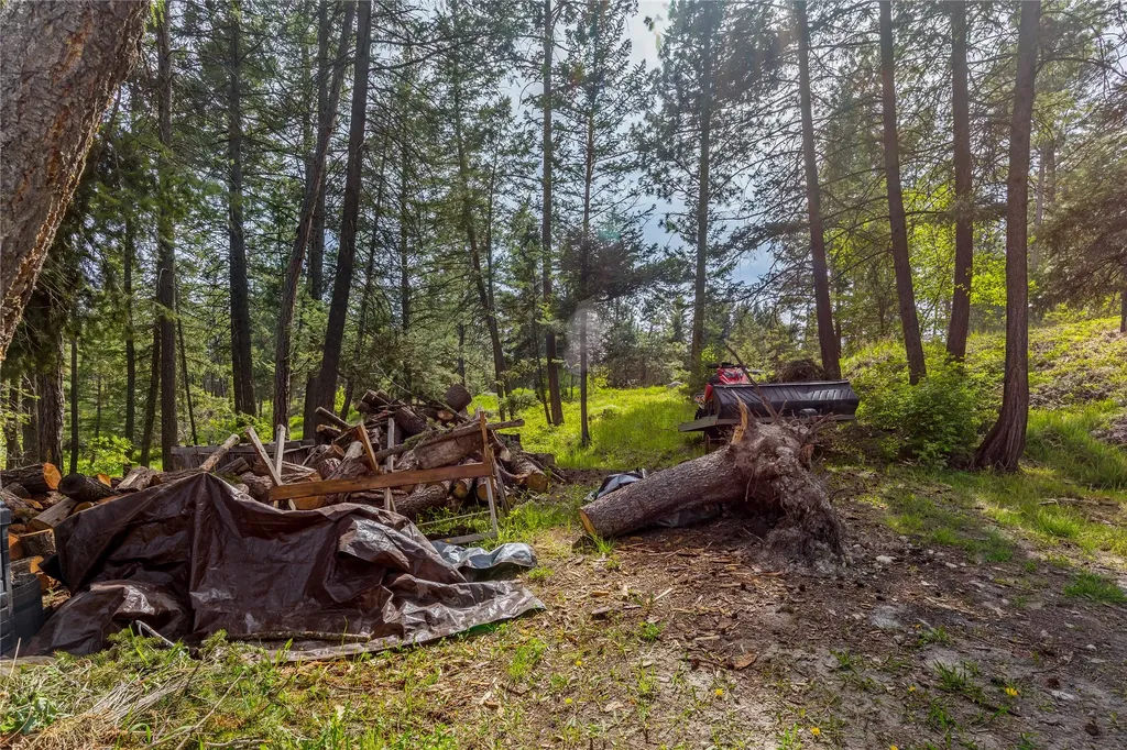 203 Rimini Road Lakeside MT 59922