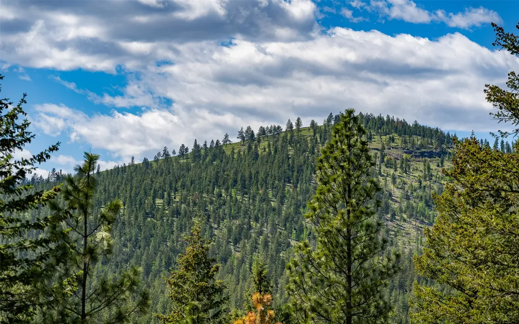 3185 Hubbart Dam Road Marion MT 59925