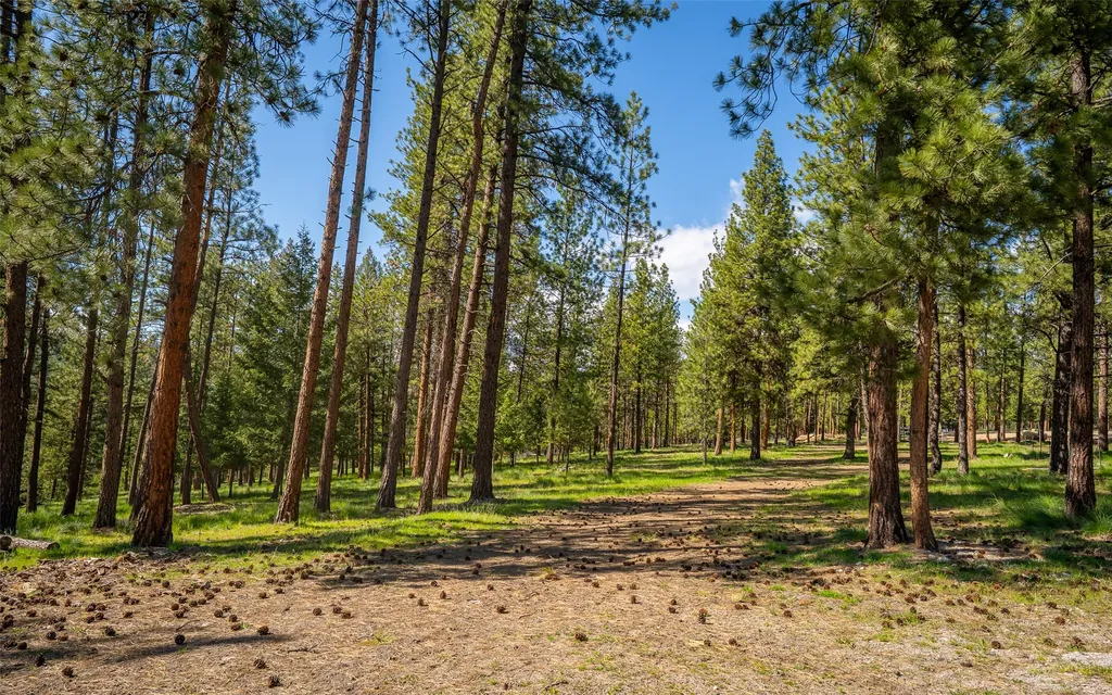 3185 Hubbart Dam Road Marion MT 59925