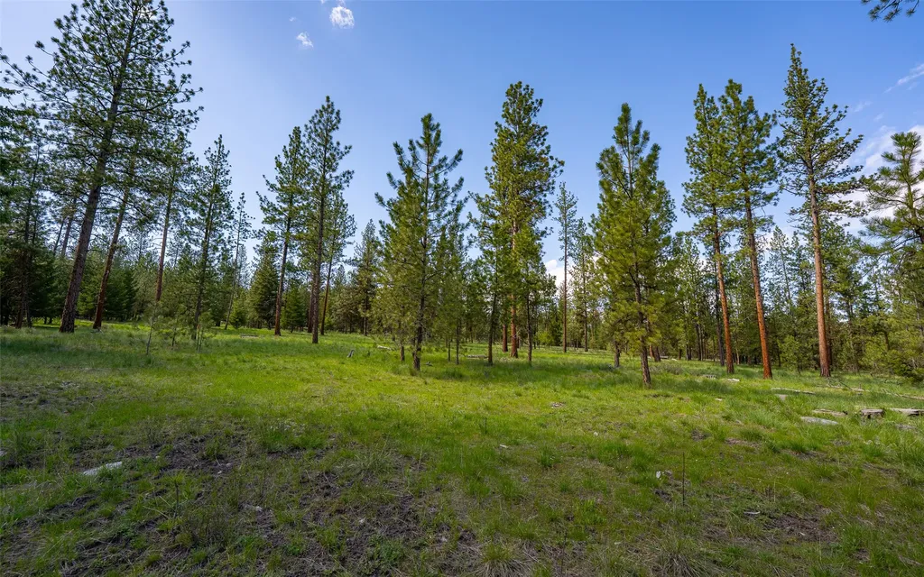 3185 Hubbart Dam Road Marion MT 59925