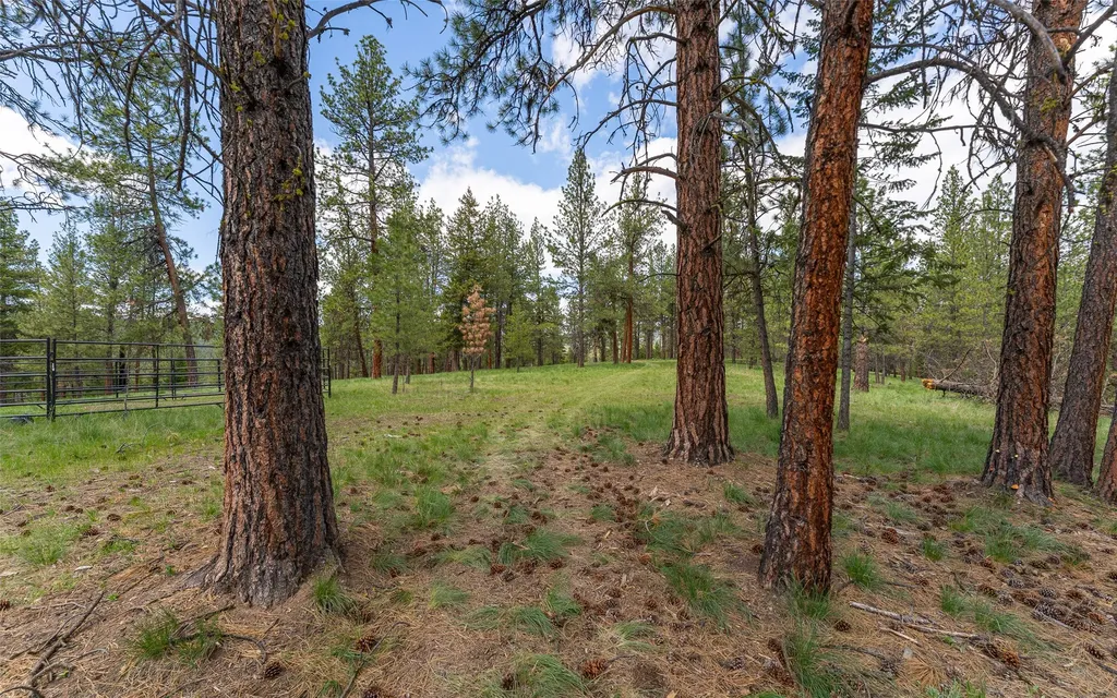 3185 Hubbart Dam Road Marion MT 59925