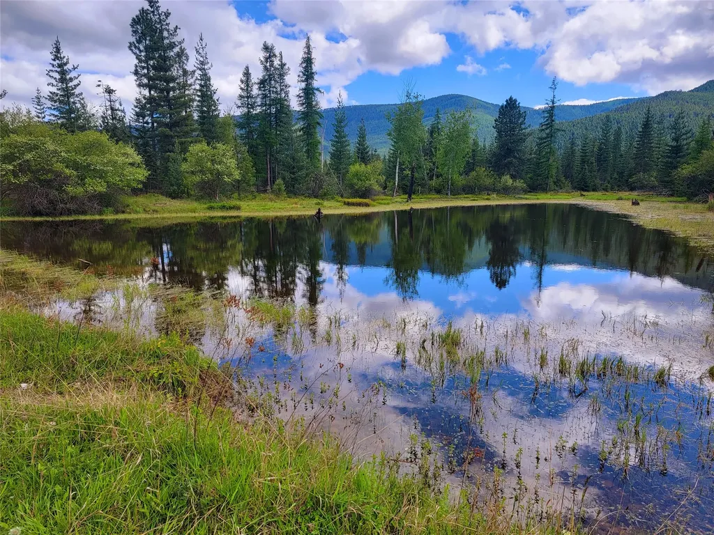 440 Trout Creek Road Trout Creek MT 59874