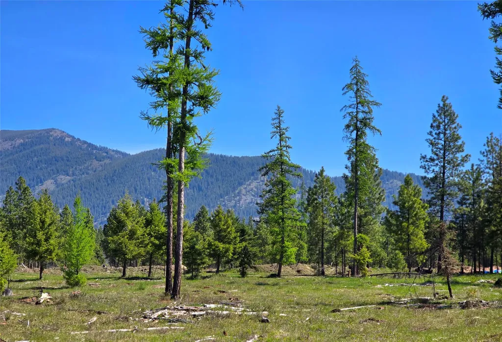 440 Trout Creek Road Trout Creek MT 59874