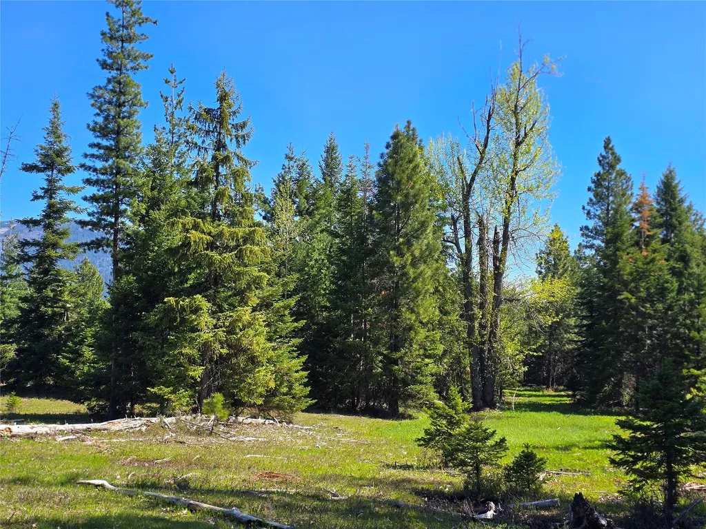 440 Trout Creek Road Trout Creek MT 59874