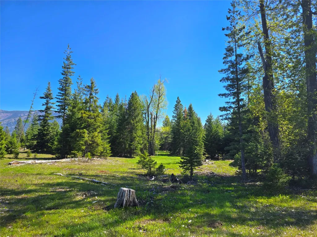 440 Trout Creek Road Trout Creek MT 59874