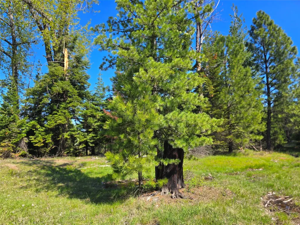 440 Trout Creek Road Trout Creek MT 59874