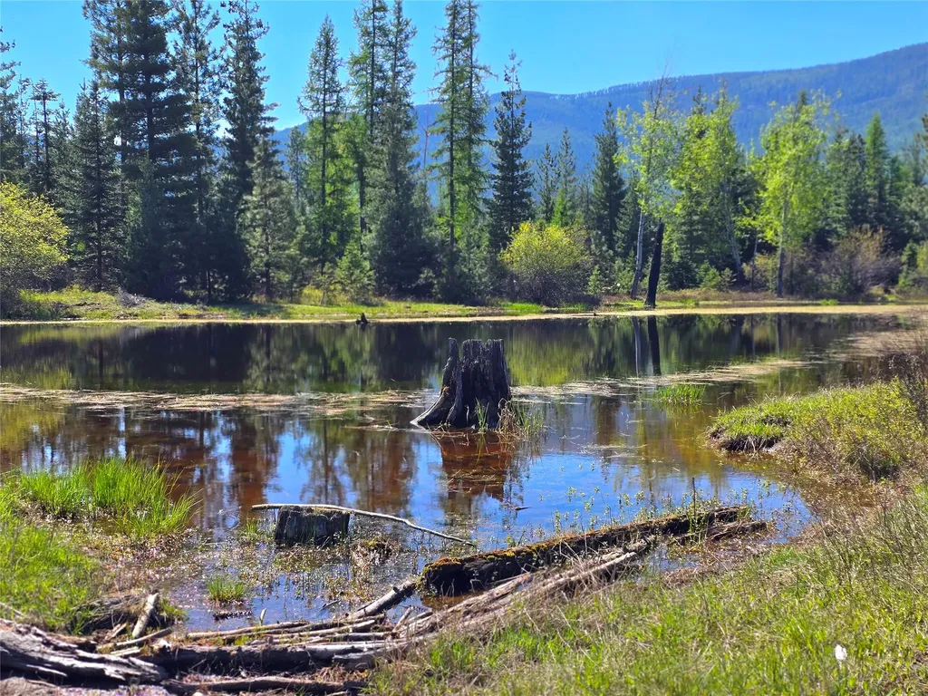 440 Trout Creek Road Trout Creek MT 59874