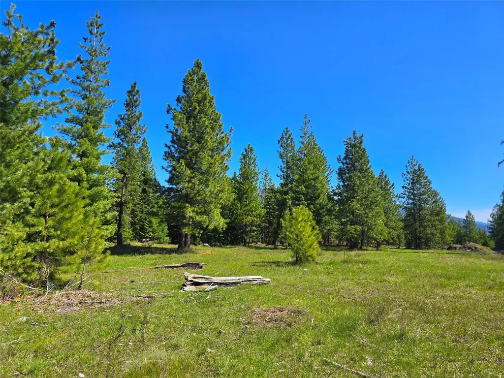 440 Trout Creek Road Trout Creek MT 59874