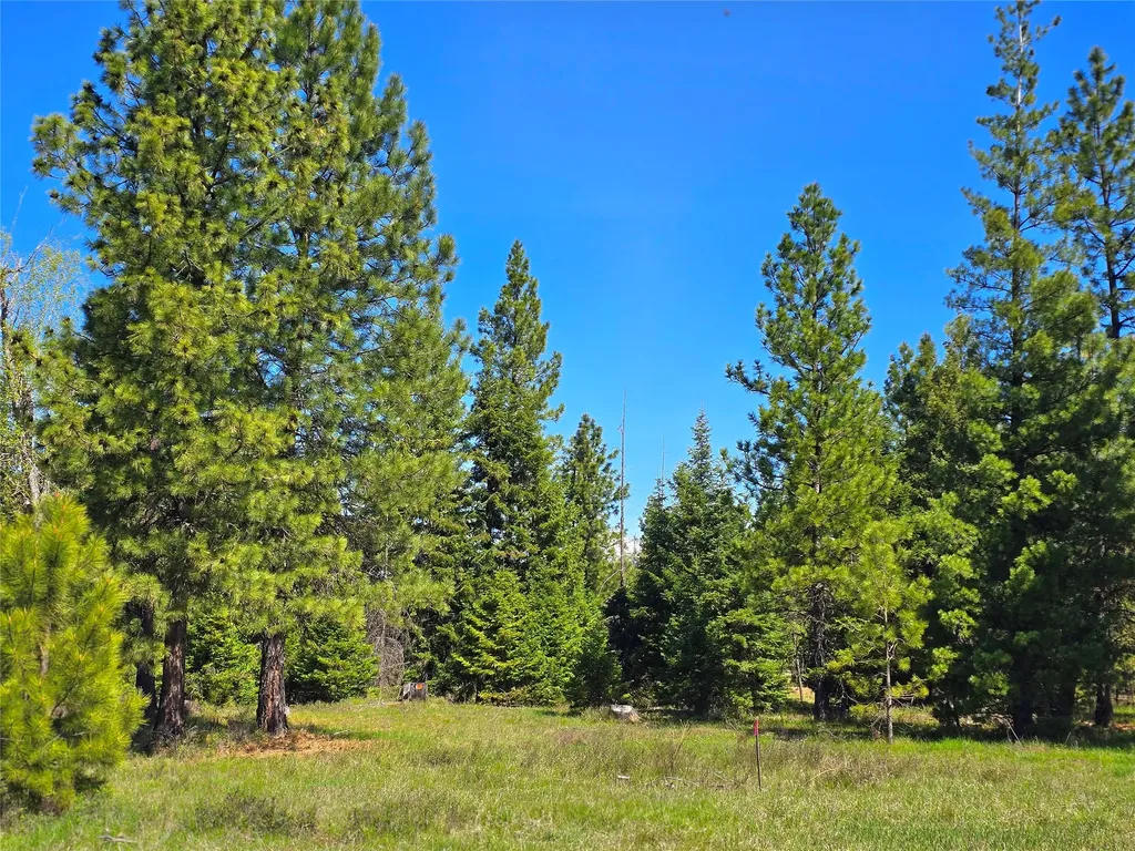 440 Trout Creek Road Trout Creek MT 59874