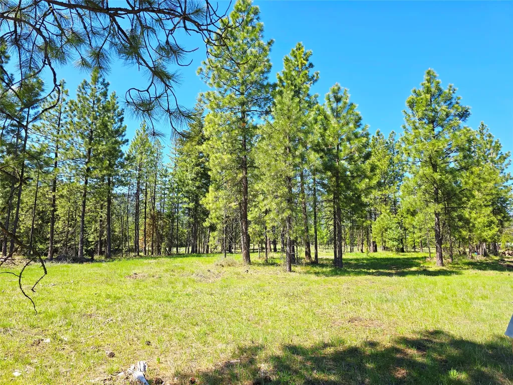 440 Trout Creek Road Trout Creek MT 59874