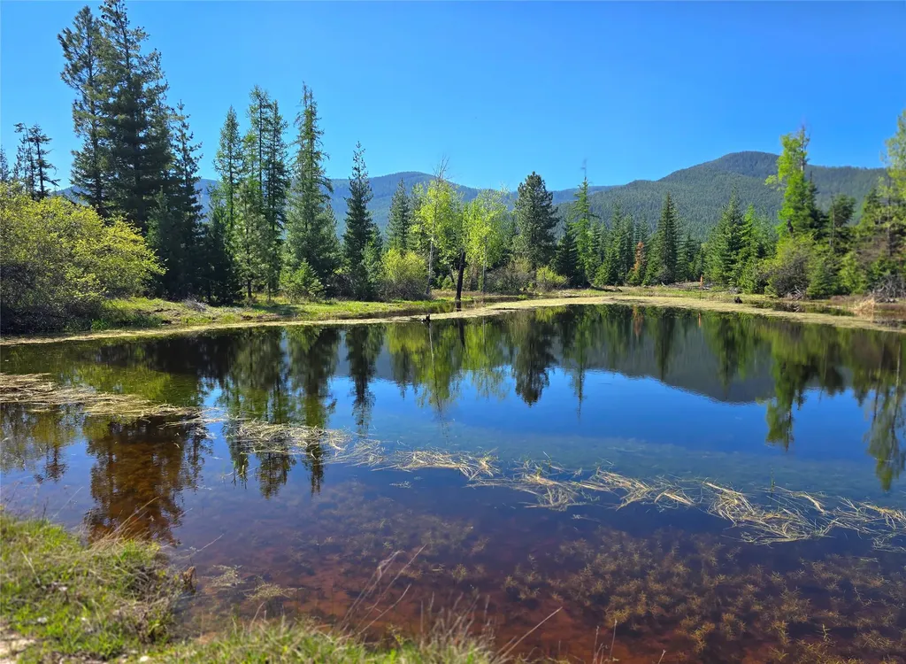 440 Trout Creek Road Trout Creek MT 59874