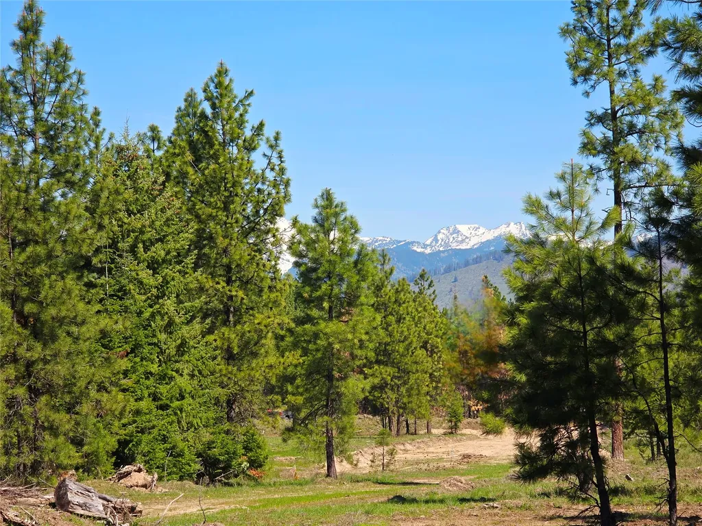 440 Trout Creek Road Trout Creek MT 59874