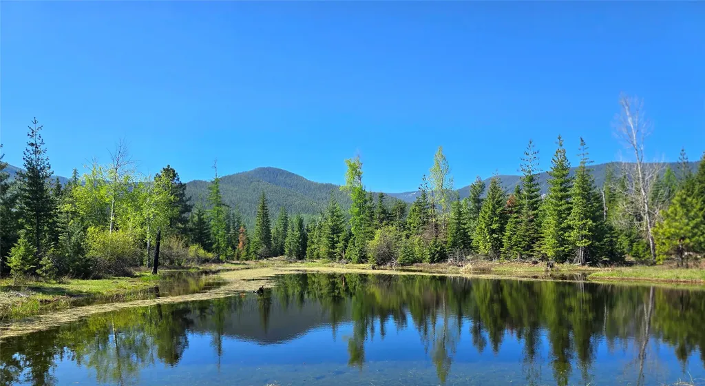 440 Trout Creek Road Trout Creek MT 59874