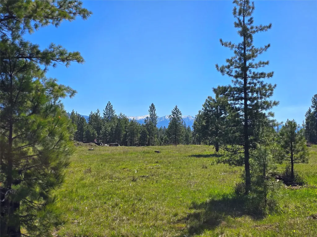 440 Trout Creek Road Trout Creek MT 59874