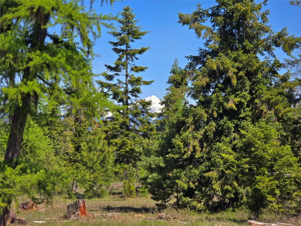 440 Trout Creek Road Trout Creek MT 59874
