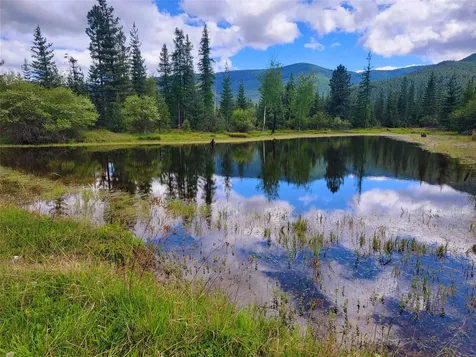 440 Trout Creek Road Trout Creek MT 59874