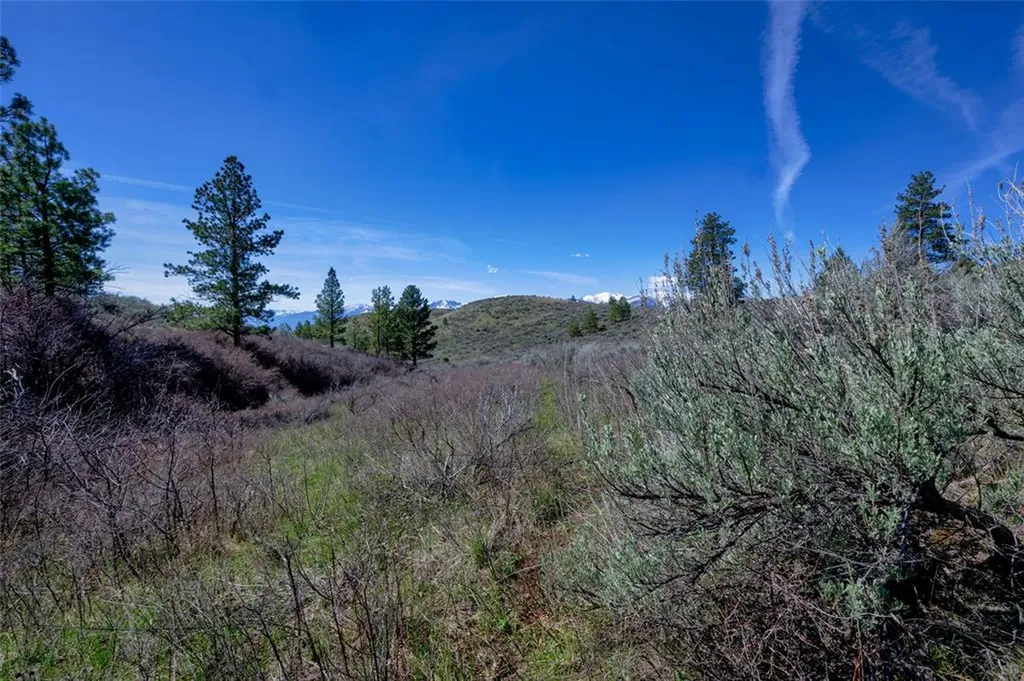 Lot 10 Sapphire Ridge Florence MT 59833