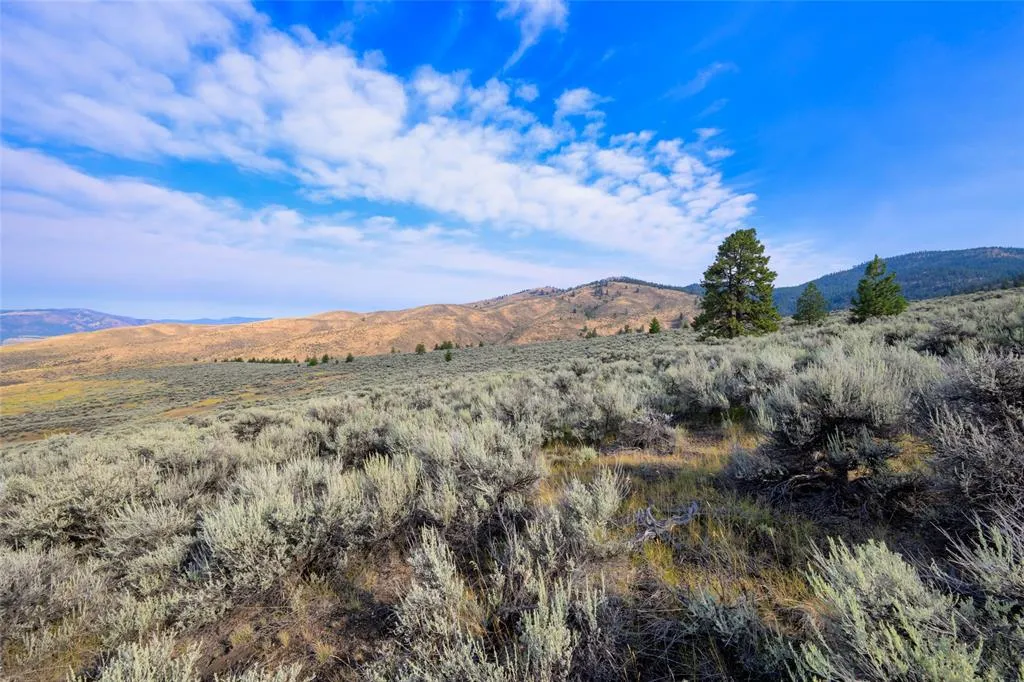 Lot 10 Sapphire Ridge Florence MT 59833
