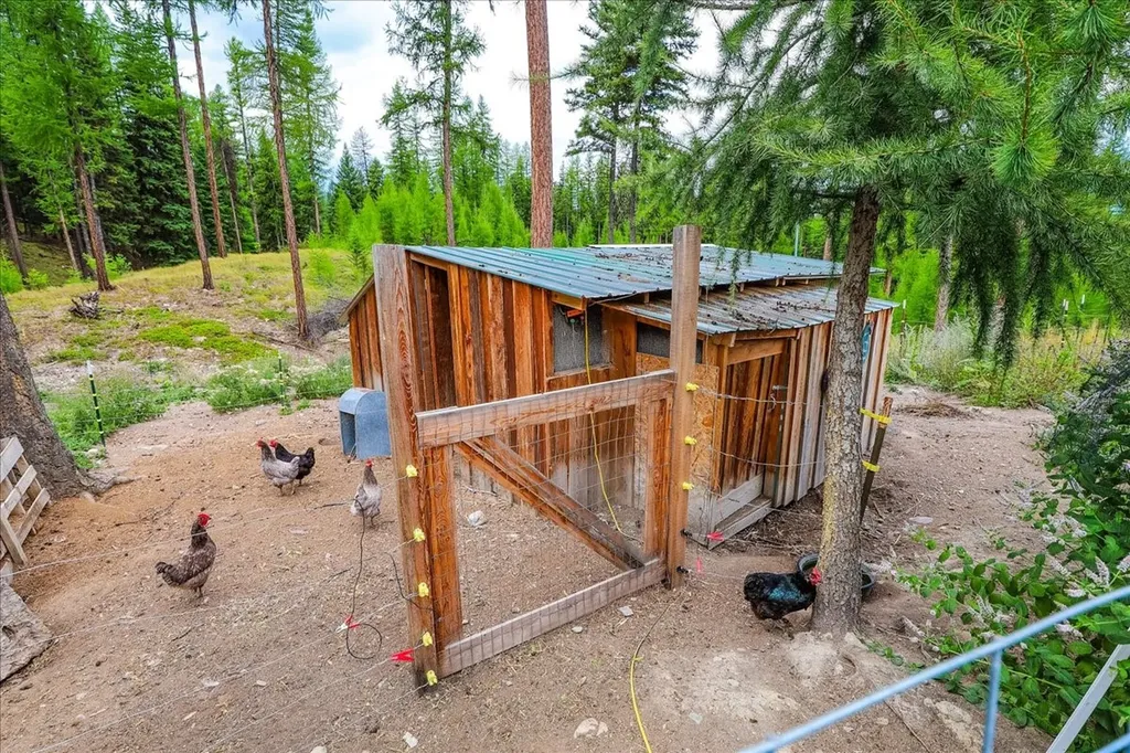 16 Porcupine Ridge Road Fortine MT 59918