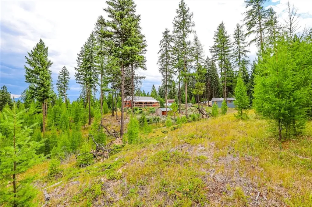 16 Porcupine Ridge Road Fortine MT 59918