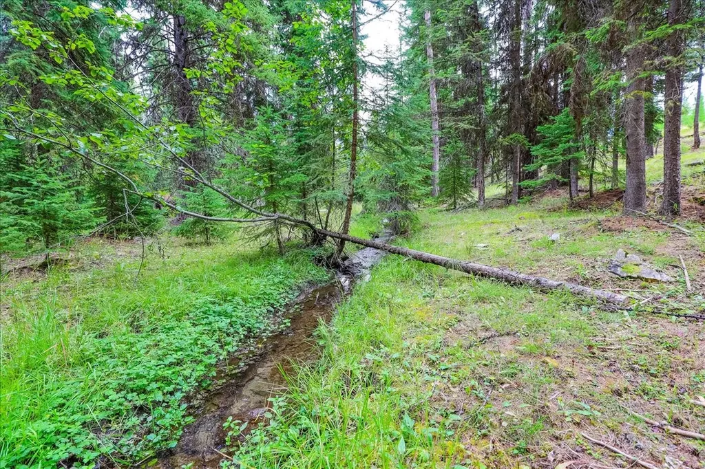 16 Porcupine Ridge Road Fortine MT 59918