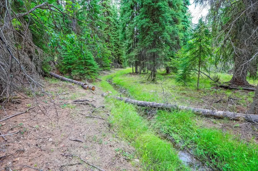 16 Porcupine Ridge Road Fortine MT 59918
