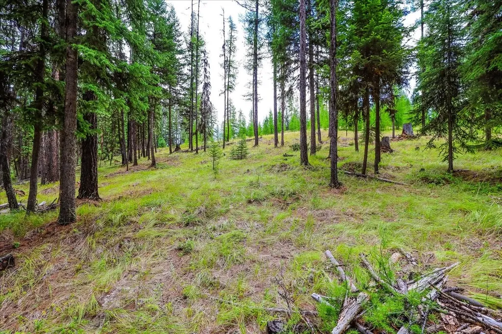 16 Porcupine Ridge Road Fortine MT 59918