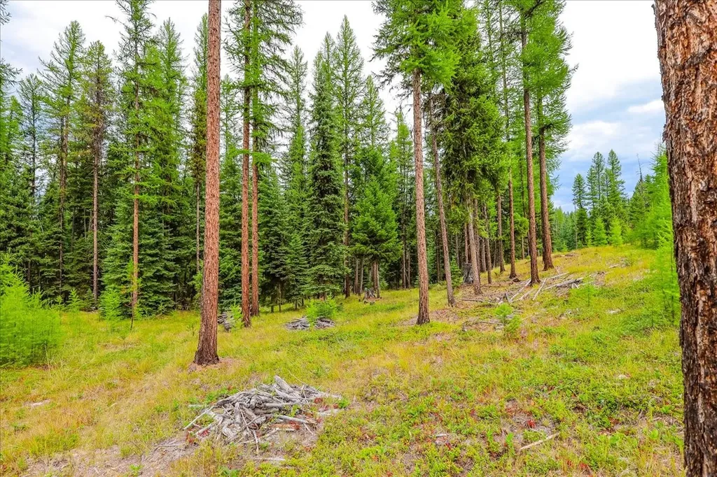 16 Porcupine Ridge Road Fortine MT 59918