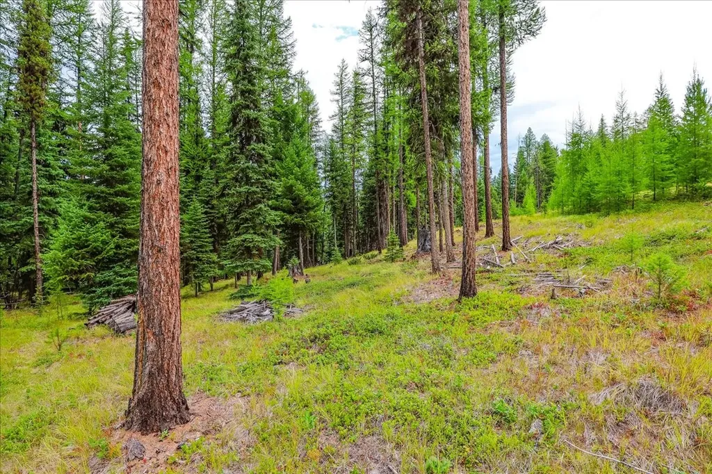 16 Porcupine Ridge Road Fortine MT 59918