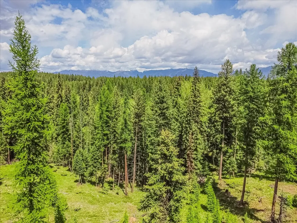16 Porcupine Ridge Road Fortine MT 59918