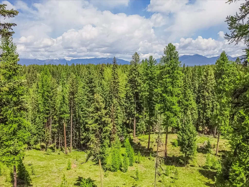 16 Porcupine Ridge Road Fortine MT 59918