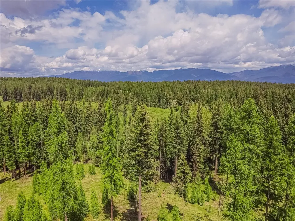 16 Porcupine Ridge Road Fortine MT 59918