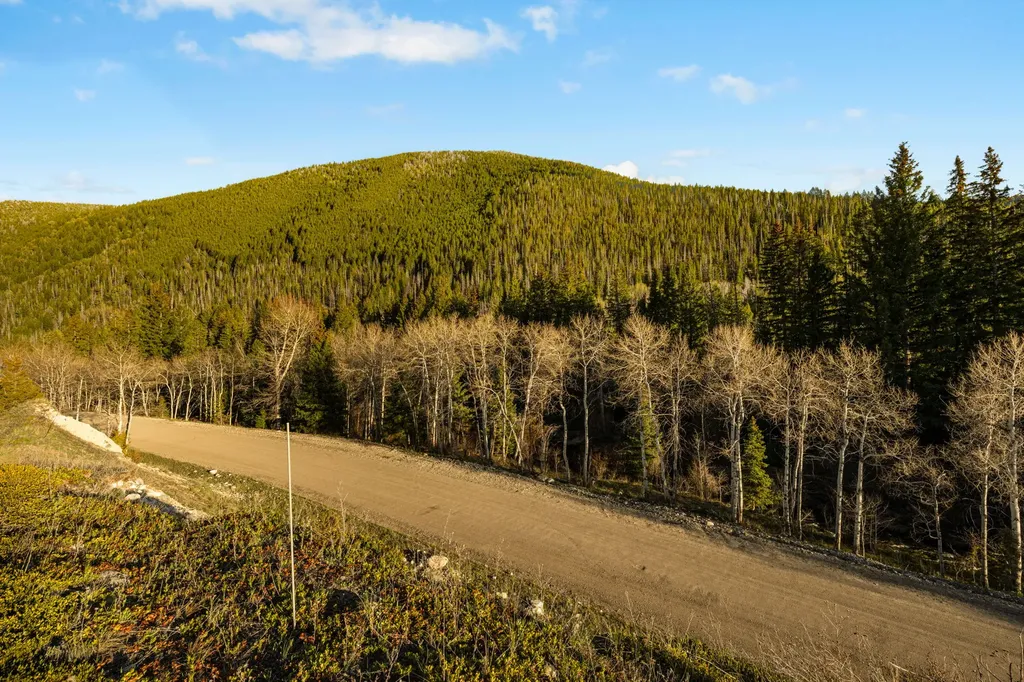 1470 Lime Spur Road Anaconda MT 59711